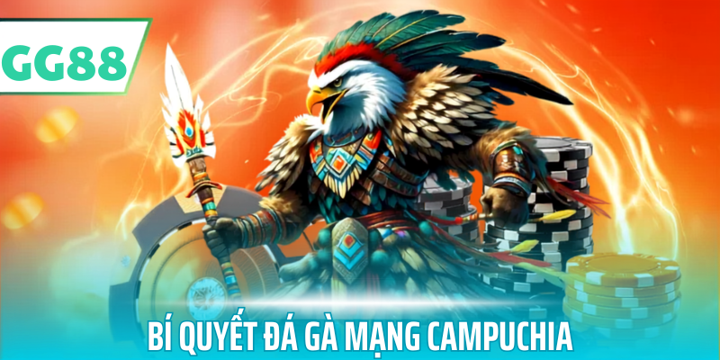 Bí quyết đá gà mạng campuchia