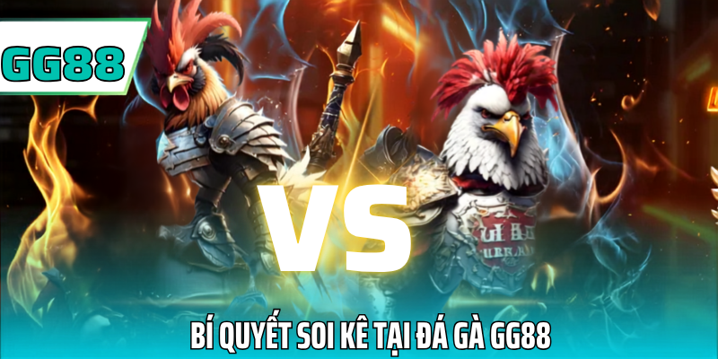 Bí quyết soi kê đá gà gg88